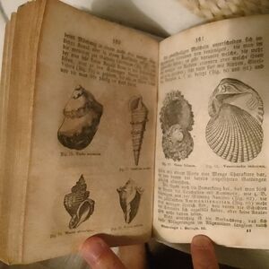 Rare 1844 Natural Science German book